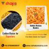 Golden Raisins Dealers | Best Golden Raisins Prices for Export