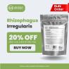 Rhizophagus Irregularis–Best Investment for You!