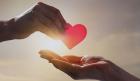 Step-by-Step Guide for How to Set Up a Charity Successfully