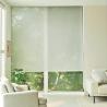 Alpha Decor Roller Blinds: Stylish & Practical Window Coverings