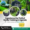 Book the Best Tanzania Safari Packages
