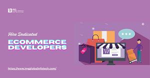 Expert eCommerce programmers