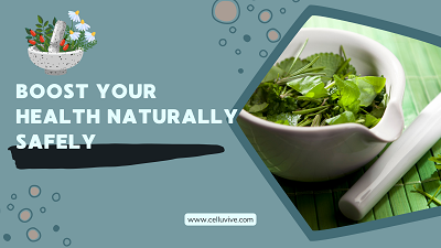Is Your Current Health Approach Serving Your Best Self