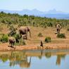 The Reputable Tanzania Tour Operator You Can Rely On