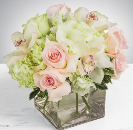 Mother’s Day Flowers that Speak Volumes – Exclusively from Black Petals