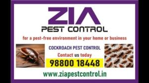AD TITLE / HEADING	Zia Pest Control | Up To 30% Off  | Pest control services Near Me | 7080