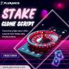 Next-Level Gaming: Transform the Market with a Custom Stake Clone Platform