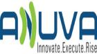 SEO link building services