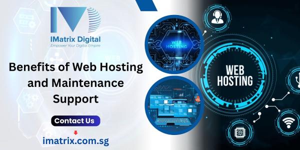 Benefits of Web Hosting and Maintenance Support