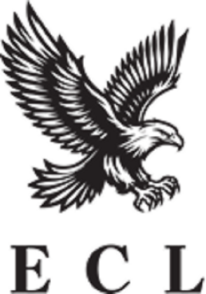 Eagle Chauffeuring Ltd's