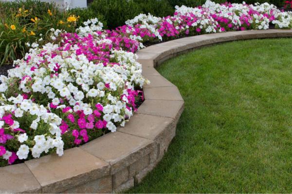 MW Lawn Landscape