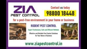 Rodent Control | Special Discount for Residence Pest  services | 5038
