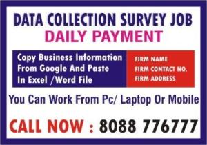Survey Jobs | Work Daily Earn Daily | Data entry Jobs Near me  | 6022