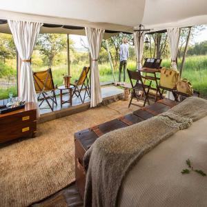 Your Ultimate Tanzania Safari Tour Awaits – Travel with KIBOKO SAFARIS