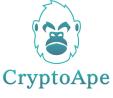 Launch Your Crypto Token Today – Ethereum & ERC20 Development Services