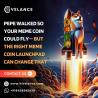 Memecoin launchpad development Company - Hivelance