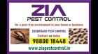 Pest Control | Cockroach pest services | Pest control services near me | 8011