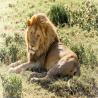 Unforgettable Mount Kilimanjaro Safari Package by Kiboko Tours & Travel